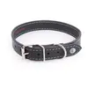 Image de Collier pour chien Martin Sellier Flash Noir 75 cm 3006400