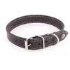 Image de Collier pour chien Martin Sellier Flash Noir 75 cm 3006401