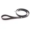 Image de Laisse pour chien Martin Sellier Flash Noir 100 cm 3006405