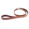 Image de Laisse pour chien Martin Sellier Flash Marron 100 cm 3006407