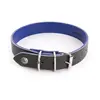 Image de Collier pour chien Martin Sellier Allure Vert 30 cm 3006412