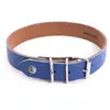 Image de Collier pour chien Martin Sellier Allure Bleu 30 cm 3006414