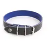 Image de Collier pour chien Martin Sellier Allure Vert 56 cm 3006444