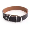 Image de Collier pour chien Martin Sellier Allure Noir 62 cm 3006453