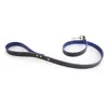 Image de Laisse pour chien Martin Sellier Allure T100 Vert TU 3006689