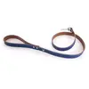 Image de Laisse pour chien Martin Sellier Allure T100 Bleu TU 3006691