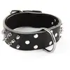 Image de Collier pour chien clouté en cuir vachette Martin Sellier Noir 65 cm 3007095