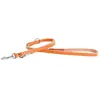 Image de Laisse pour chien en cuir multi bicolore Martin Sellier 499 Orange 18/200 cm 3007099