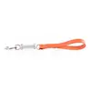 Image de Laisse pour chien en cuir Martin Sellier Amor 499 Orange 25/50 cm 3007103