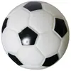 Image de Balle de foot pour chien Martin Sellier Blanc 10 cm 3008858