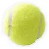Image de Balle pour chat tennis Martin Sellier Multicolore TU 3009721
