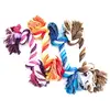 Image de MARTIN SELLIER-Jouet Chien - Martin Sellier Corde 2 noeuds   25 cm