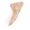 Image de Jouet pour chien bois de daim Martin Sellier Beige M 3003530