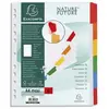 Image de Exacompta Intercalaires Carte Blanche A4 Maxi