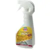 Image de ECNESS INOX PISTOLET 750ML ECNESS - 007845