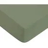Image de Drap housse en coton 57 fils uni bonnet 25cm sauge 90x200cm