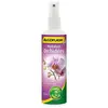 Image de Algoflash Hydratant Orchidées 250 mL
