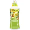 Image de Algoflash Orangers/Citronniers 750mL
