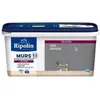 Image de RIPOLIN Peinture Couleur Velours pour Murs, Boiseries Radiateurs - Gris ardoise