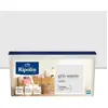 Image de RIPOLIN Gris Souris Satin - 2.5L