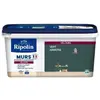 Image de RIPOLIN Peinture Couleur Velours pour Murs, Boiseries Radiateurs - Vert Armerie