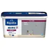 Image de RIPOLIN Peinture Couleur Velours pour Murs, Boiseries Radiateurs - Gris galet