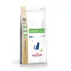 Image de Royal Canin Veterinary Urinary S/O LP34