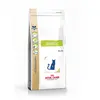 Image de Royal Canin Croquettes pour chat DS46 - 1,5 kg