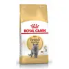 Image de Royal Canin British Shorthair Adult