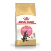 Image de Royal Canin Croquettes pour chat Maine Coon Kitten - 4 kg