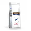 Image de Royal Canin Gastro Intestinal Junior