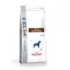Image de Royal Canin Croquettes pour chien GI 25 - 2 kg