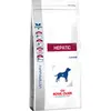 Image de Royal Canin Croquettes pour chien Hepatic - 12 kg