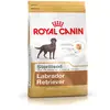 Image de Royal Canin Race Labrador Retriever Adult Sterilised