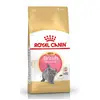 Image de Royal Canin British Shorthair Kitten