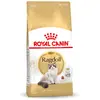 Image de Royal Canin Ragdoll Adult