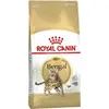 Image de Royal Canin Croquettes Bengal Adult - 2 kg