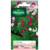 Image de VILMORIN Sachet Graines Cosmos Sensation Nain