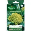 Image de VILMORIN Chou Brocoli Romanesco Précoce