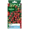 Image de Tomate Cerise Vilmorin