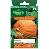 Image de Vilmorin Potiron Atlantic Giant