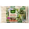 Image de Vilmorin Terre à Cactées - 5 L