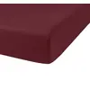 Image de Drap housse 100% coton 115g 57fils, Oli