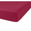 Image de Drap housse 100% coton 115g 57fils, Oli