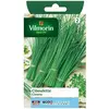 Image de Vilmorin Graines Ciboulette