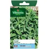 Image de Vilmorin Graines Sauge