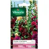 Image de Vilmorin Rose Trémière Variée