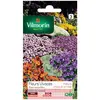 Image de Vilmorin Fleurs Vivaces pour Rocailles