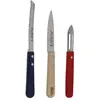 Image de Coffret 3 couteaux de cuisine - CB10A250HC2364 - JEAN DUBOST