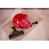 Image de Rowenta Swift Power RO2913EA - Rouge